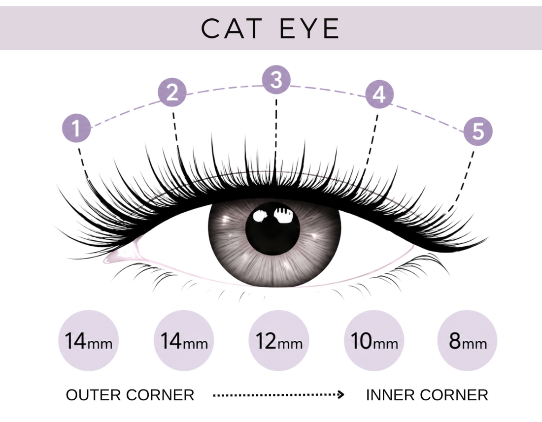 Lash map to create cat eye lashes