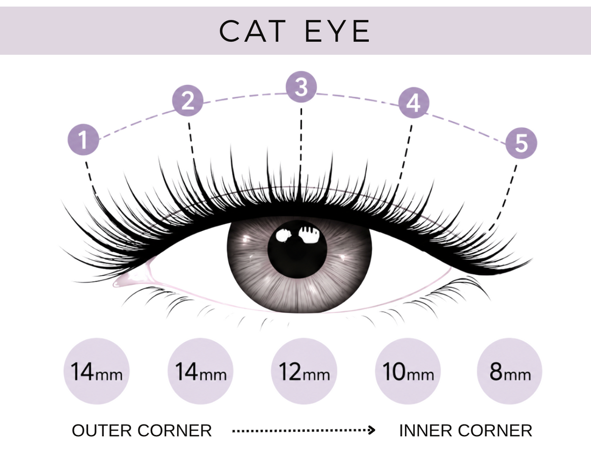 Lash map to create cat eye lashes