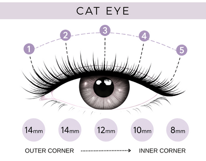 Lash map to create cat eye lashes