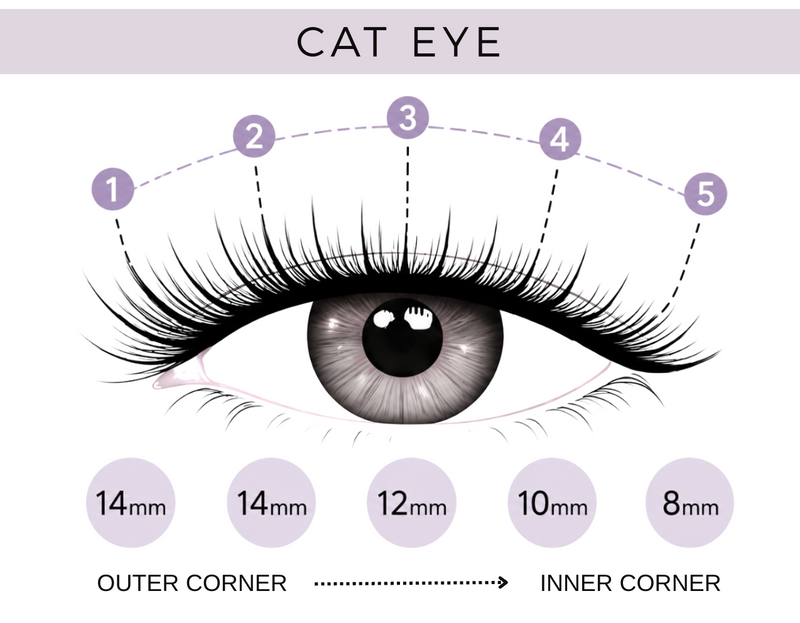 Lash map to create cat eye lashes