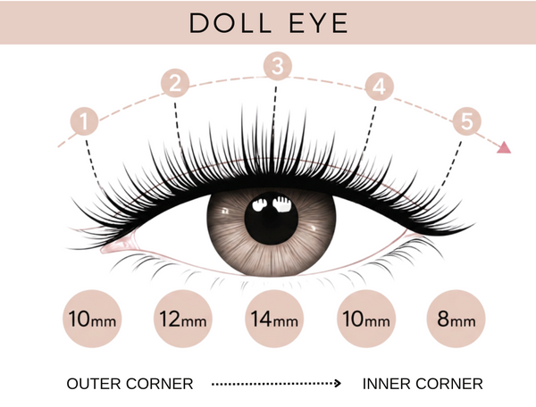 EasyLash Doll Eye Lash Bundle