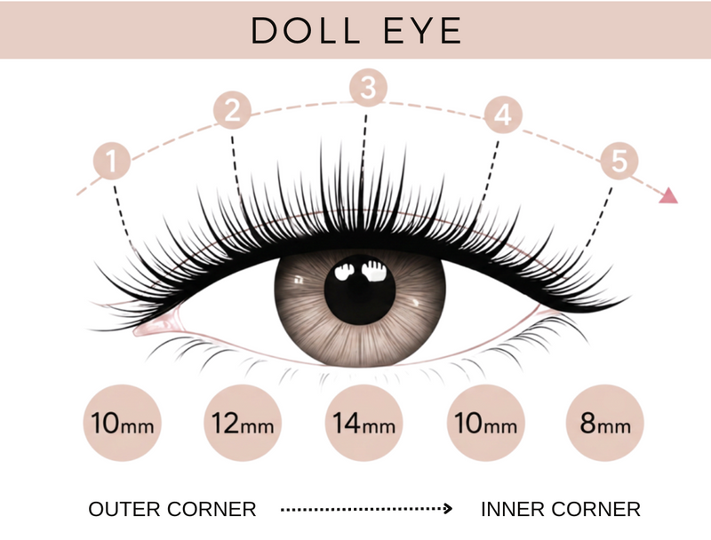 EasyLash Doll Eye Lash Bundle