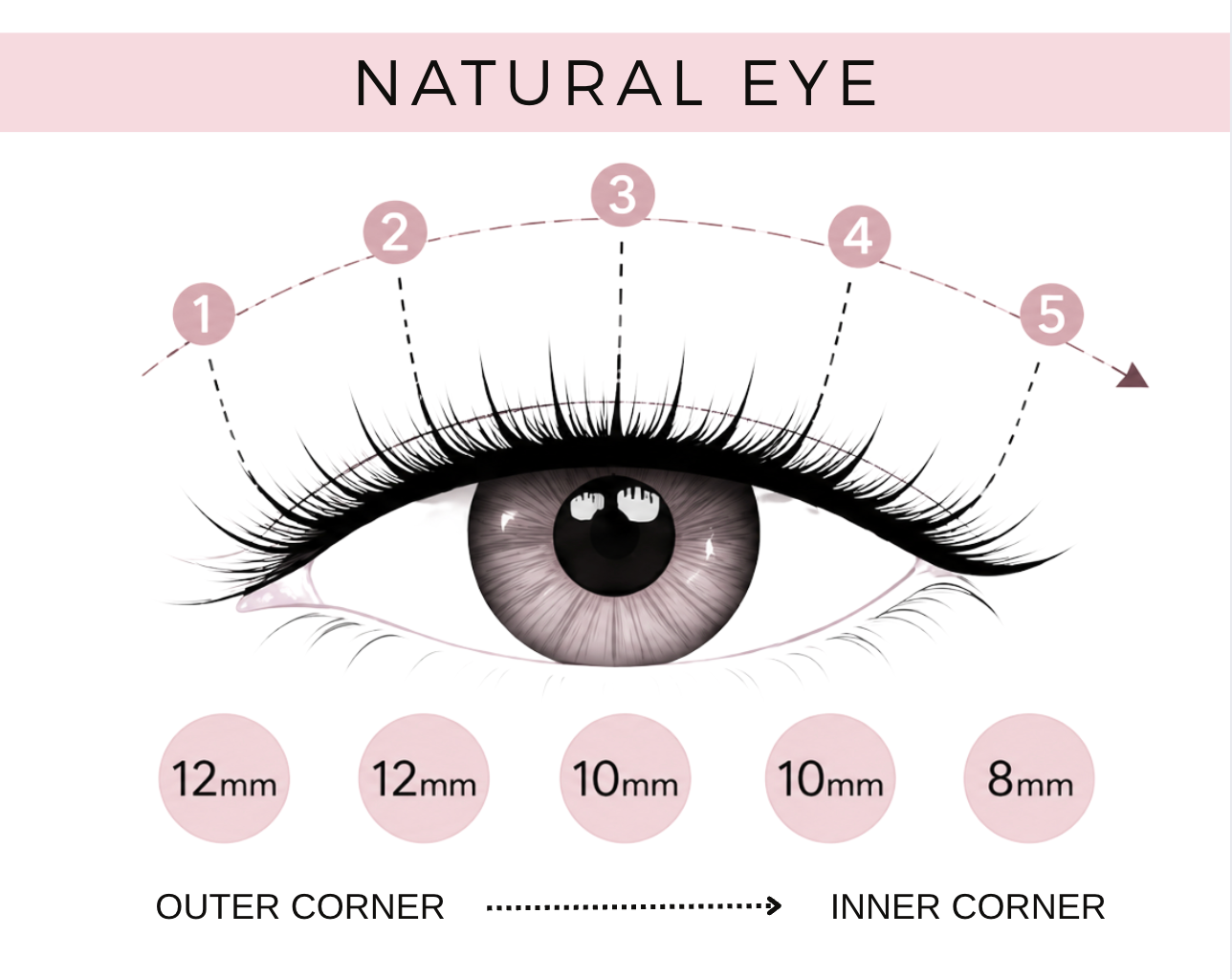 EasyLash Natural Eye Lash Bundle