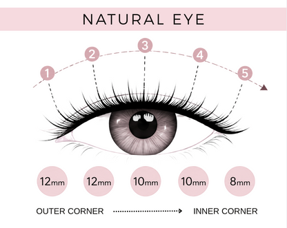 EasyLash Natural Eye Lash Bundle
