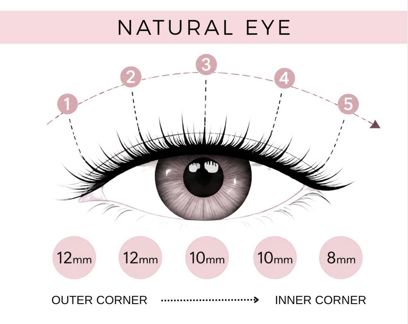 EasyLash Natural Eye Lash Bundle