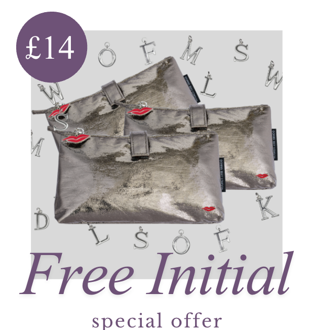Graphite Knick Knack Bag Offer