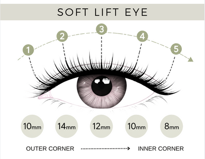 Soft Lift False Eyelashes