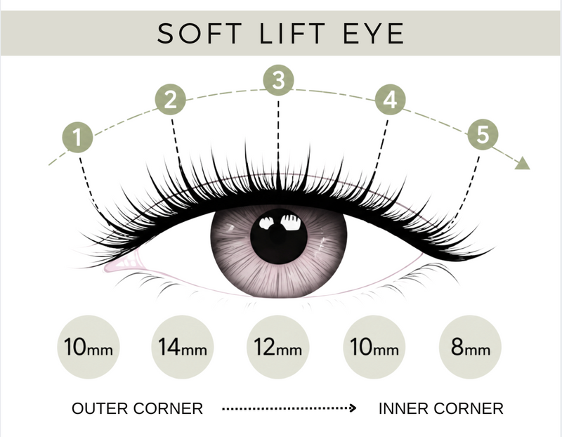 Soft Lift False Eyelashes