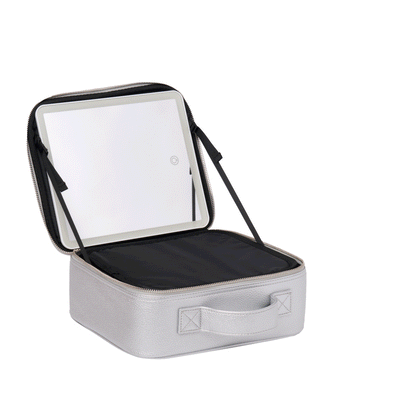 The Ultimate Beauty Case in Silver
